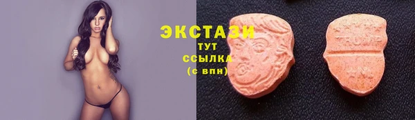 СК Строитель