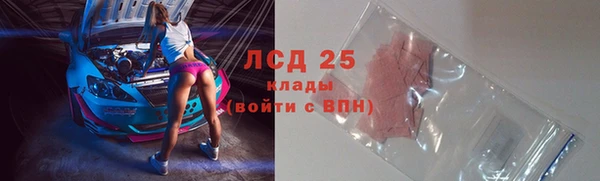 мяу мяу мука Аркадак