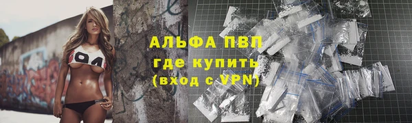 гашик Арсеньев
