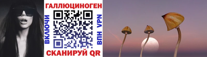 где можно купить   Чердынь  Псилоцибиновые грибы GOLDEN TEACHER 